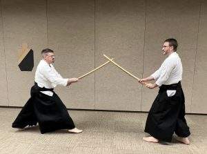 aikidoMushinED